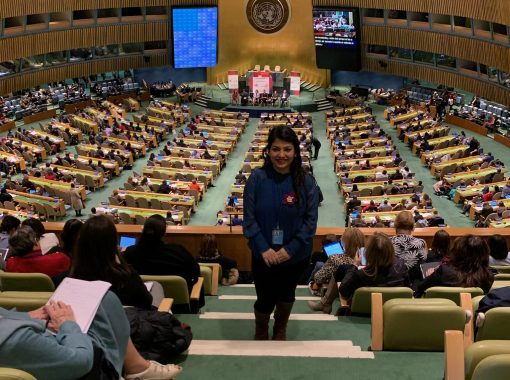 1. UN CSW