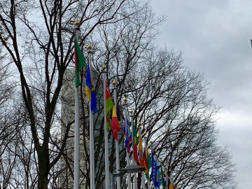 IMG_8003